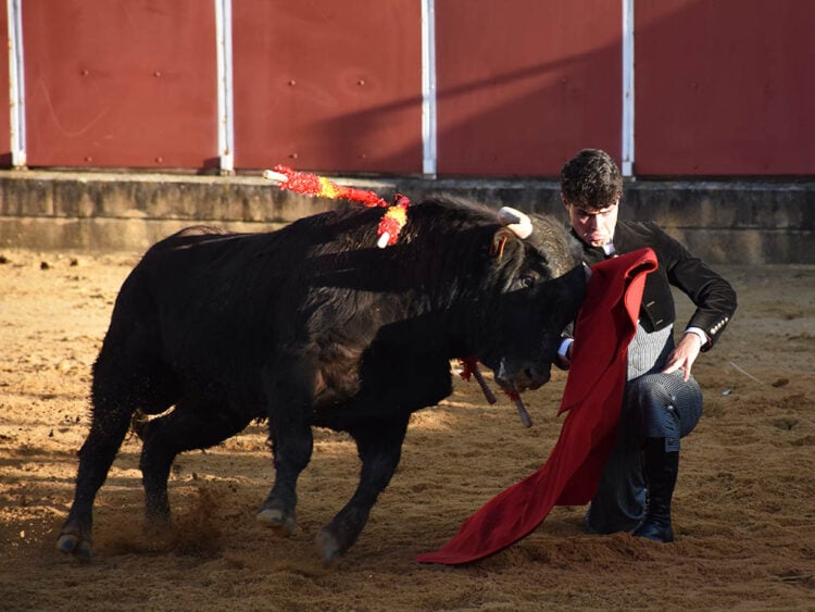 La torería de Jarocho y el variado concepto de Jorge Oliva sobresalen en el festival de Mozoncillo 1 Inicio de la faena de muleta de Roberto Martín ‘Jarocho’ en Mozoncillo. / A.M.