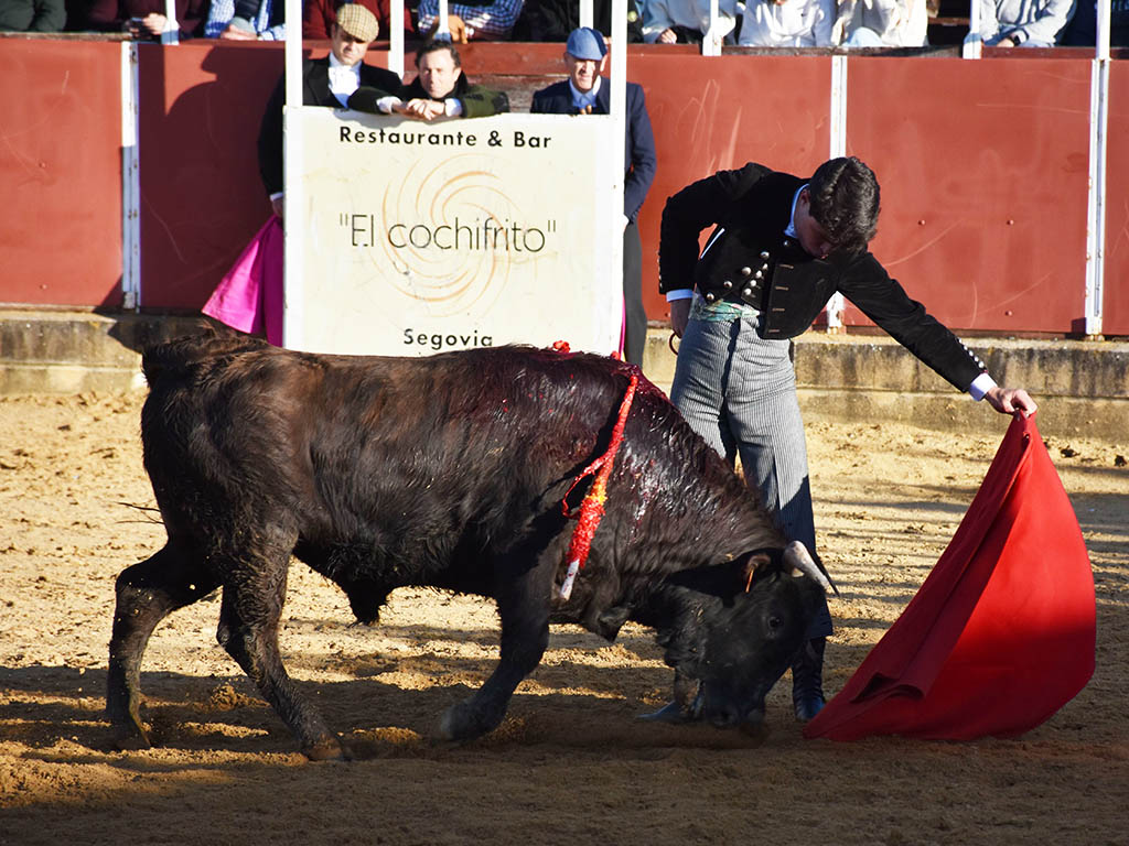 La torería de Jarocho y el variado concepto de Jorge Oliva sobresalen en el festival de Mozoncillo 6 Jarocho, en Mozoncillo. / A.M