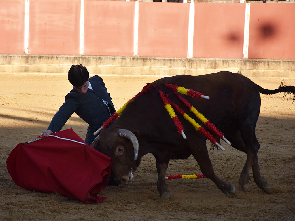 La torería de Jarocho y el variado concepto de Jorge Oliva sobresalen en el festival de Mozoncillo 7 Jorge Oliva, en Mozoncillo. / A.M.