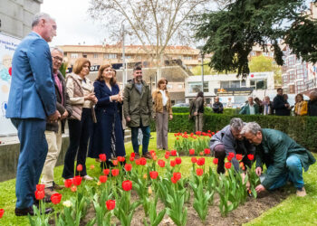 Plantación de tulipanes por el Día Mundial del Parkinson en los Jardinillos de San Roque. / HÉCTOR CRIADO