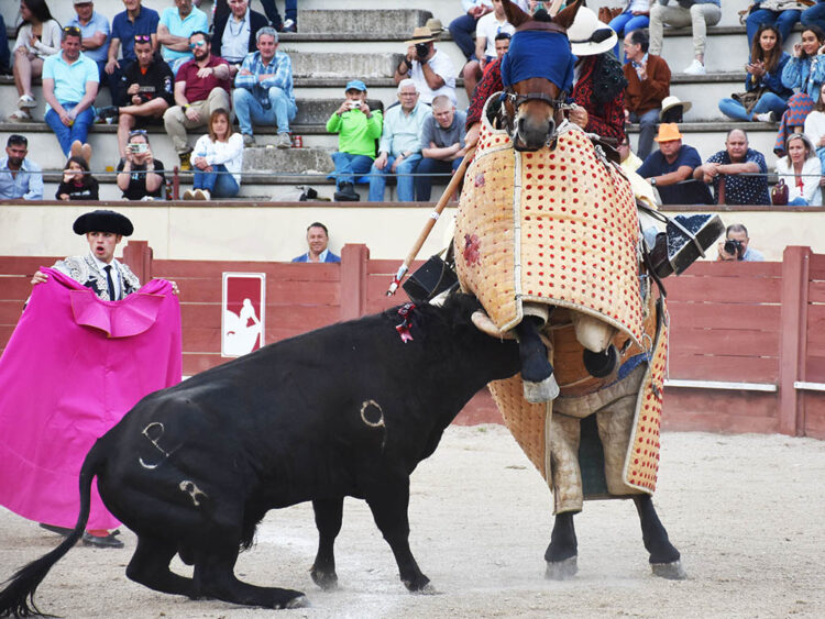 El Circuito de Novilladas de Castilla y León pasa de largo por Segovia por tercer año consecutivo 1 Novillada picada del Circuito de Castilla y León, celebrada en Valsaín en 2022. / A.M.