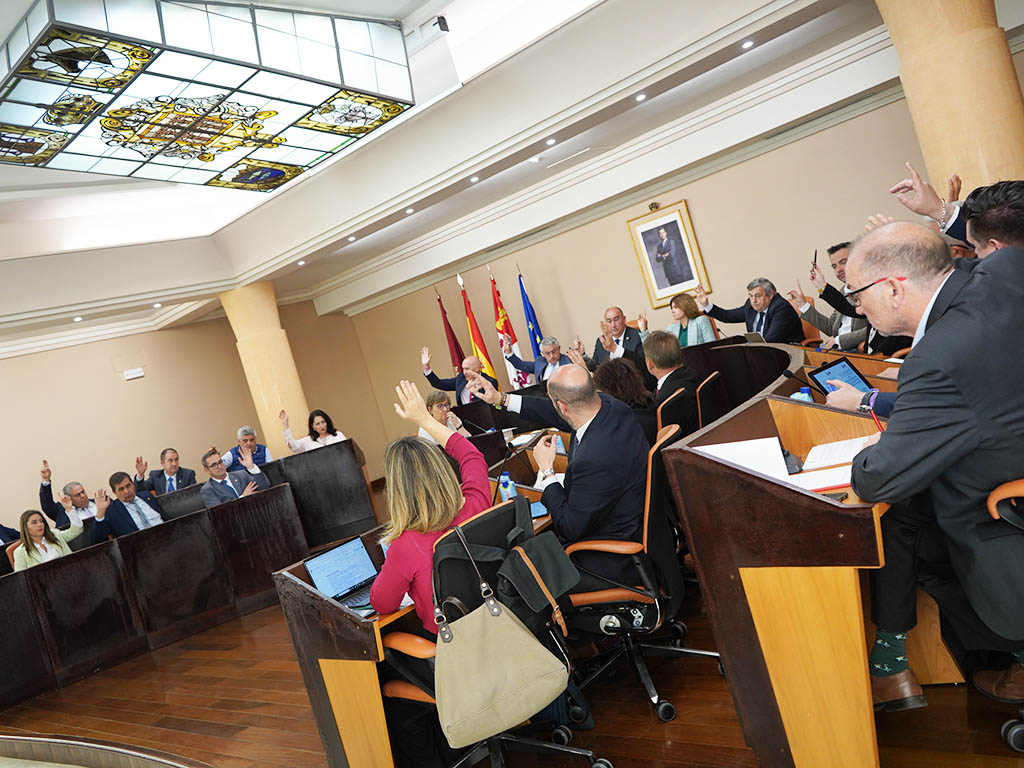 Votación del Pleno de la Diputación de abril. / DIPUTACIÓN