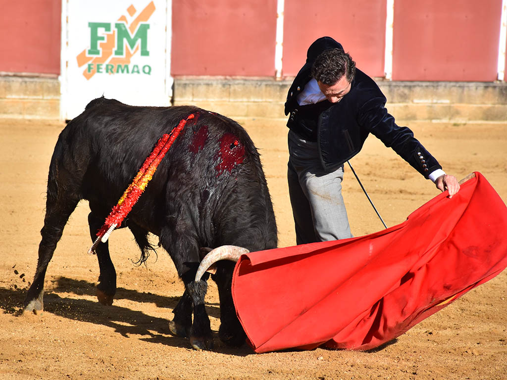 La torería de Jarocho y el variado concepto de Jorge Oliva sobresalen en el festival de Mozoncillo 3 Rafaelillo Mozoncillo