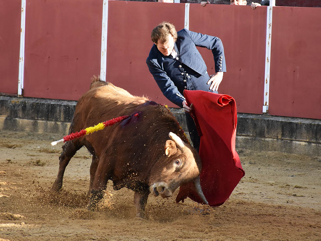 La torería de Jarocho y el variado concepto de Jorge Oliva sobresalen en el festival de Mozoncillo 5 Román, en Mozoncillo. / A.M.