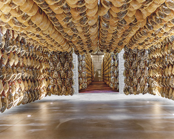 “El Campus del Jamón nos permite tener clientes formados y con criterio” 2 Bodega natural NAOS del Campus del Jamón. / MONTE NEVADO