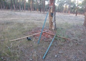 Herramientas empleadas por los trabajadores / SUBDELEGACIÓN DEL GOBIERNO EN SEGOVIA