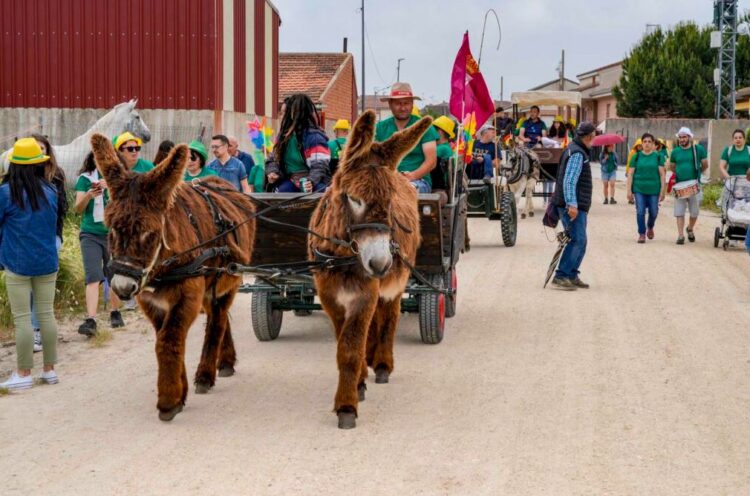 Abiertas las inscripciones para la romería castellana a San Cebrián en Zarzuela del Pinar 1 Foto de archivo. Romería castellana a San Cebrián en Zarzuela del Pinar / E.A.