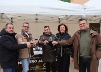 Magdalena Rodríguez con los diputados. /DIPUTACION DE SEGOVIA