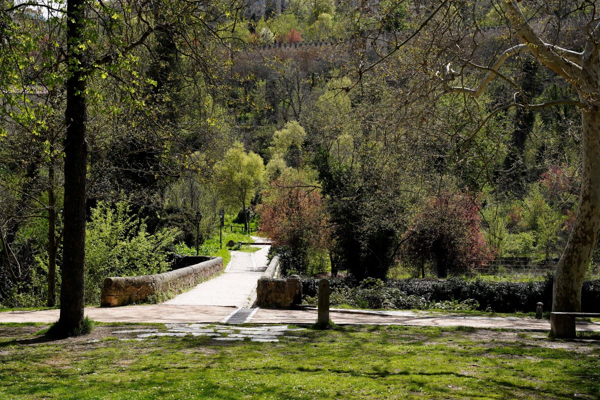 La Alameda. Mario Antón Lobo.