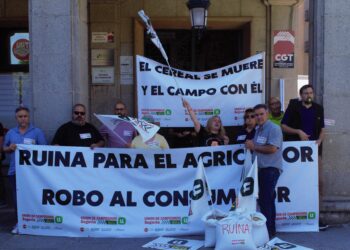 Instantes de la concentración celebrada en Segovia. / DAVID EDUARDO CORONA