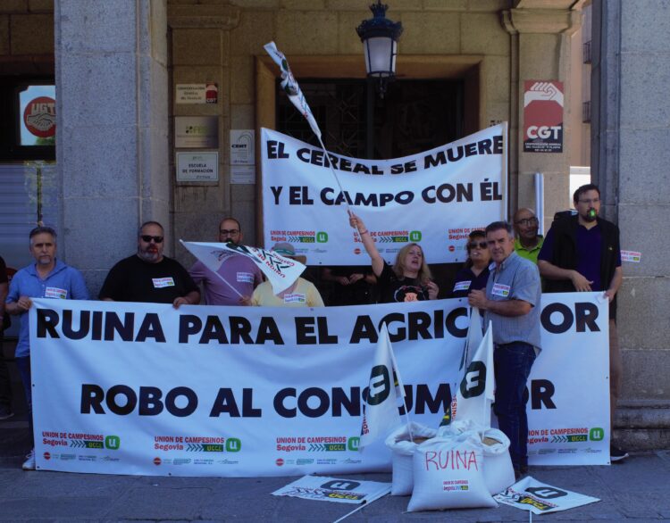 Instantes de la concentración celebrada en Segovia. / DAVID EDUARDO CORONA