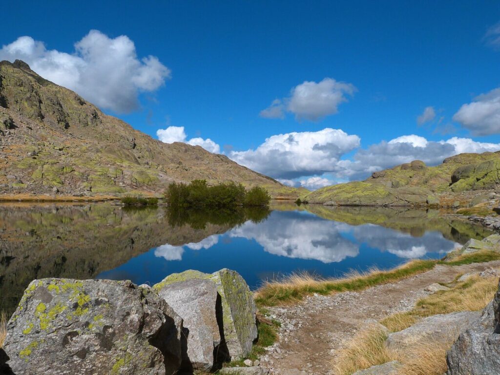 Valsaín, escenario de una ruta guiada por la naturaleza de la Fundación Caja Rural 2 Laguna Grande de Gredos en Ávila (FOTO: MIGUEL ÁNGEL HONTANILLA POZO)