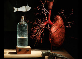 Entrañas - El Patio Teatro.