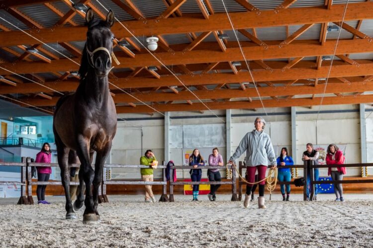 C.I.F.P “Escuela de Capacitación y Experiencias Agrarias”, un centro para el futuro 1 1 5