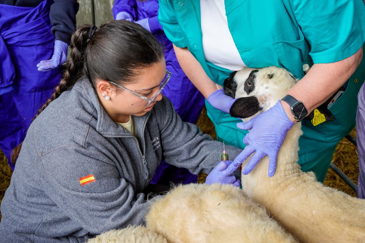 C.I.F.P “Escuela de Capacitación y Experiencias Agrarias”, un centro para el futuro 10 Técnico superior en Ganadería y Asistencia en Sanidad Animal.