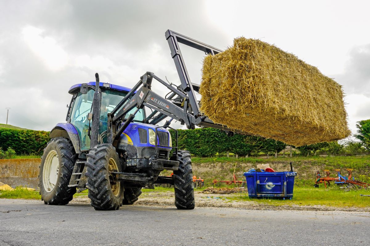C.I.F.P “Escuela de Capacitación y Experiencias Agrarias”, un centro para el futuro 5 Técnico superior en Ganadería y Asistencia en Sanidad Animal.