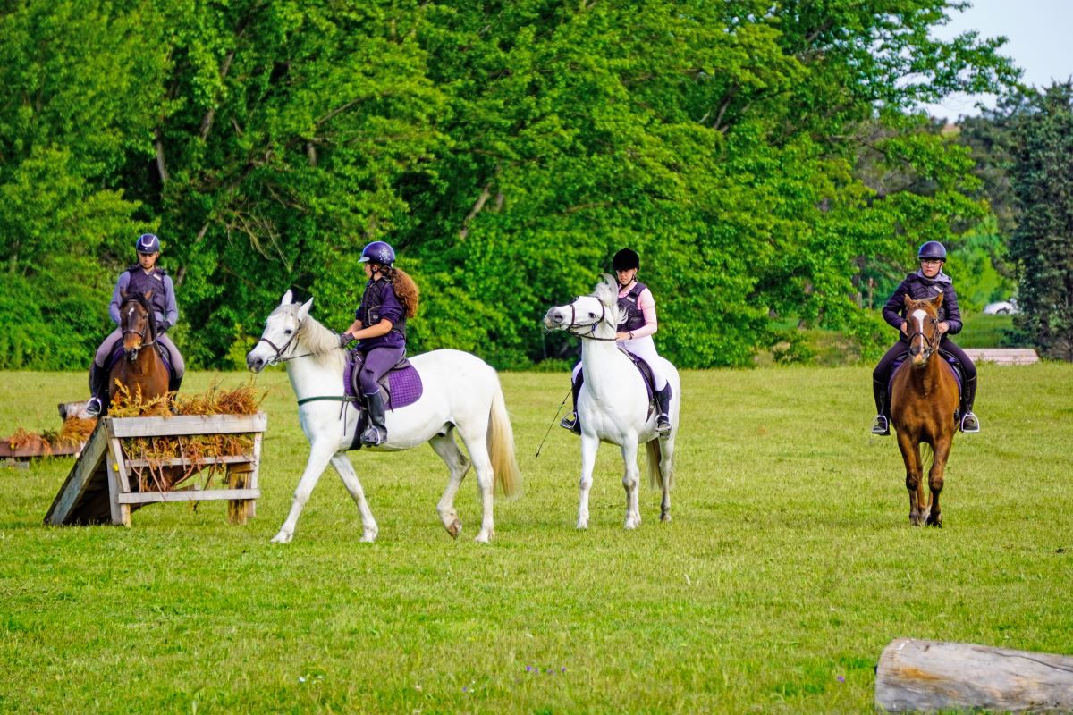 C.I.F.P “Escuela de Capacitación y Experiencias Agrarias”, un centro para el futuro 2 Estudios de técnico de Actividades Ecuestres.