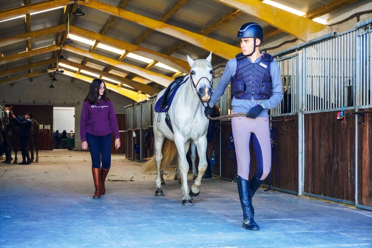 C.I.F.P “Escuela de Capacitación y Experiencias Agrarias”, un centro para el futuro 9 Estudios de técnico de Actividades Ecuestres.