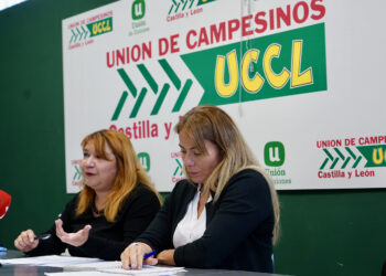 Firma del convenio hoy en Valladolid. / Miriam Chacón