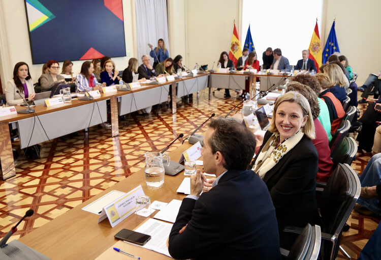 Castilla y León recurrirá el Real Decreto de reparto de menores inmigrantes 1 Isabel Blanco participa en la Conferencia Sectorial de Infancia y Adolescencia. / Juan Lázaro