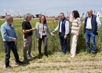La Consejera de Agricultura visita la feria Demoagro en Medina del Campo (Valladolid). / Leticia Pérez