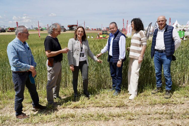 Agricultura y las OPA se unen para pedir una PAC27 que apueste por el agricultor profesional 1 La Consejera de Agricultura visita la feria Demoagro en Medina del Campo (Valladolid). / Leticia Pérez