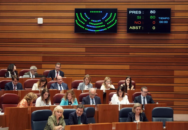 Momento de votaciones durante la segunda jornada de Pleno en las Cortes. / Rubén Cacho