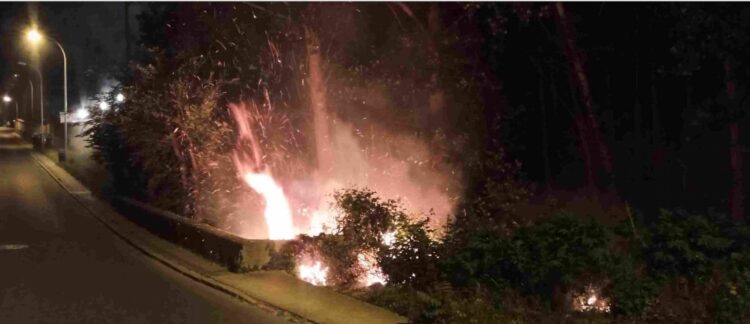 La policía atiende un posible incendio intencionado en Cardenal Zúñiga 1 La pelusa de polen hizo que las llamas se extendieran con rapidez./POLICÍA DE SEGOVIA