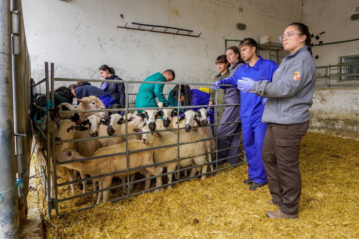 C.I.F.P “Escuela de Capacitación y Experiencias Agrarias”, un centro para el futuro 4 Estudios de técnico superior en Ganadería y Asistencia en Sanidad Animal.