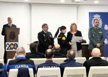 Acto de entrega de distinciones en el Día de la Seguridad Privada. / SUBDELEGACIÓN DEL GOBIERNO EN SEGOVIA