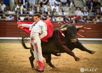 Bernadinas de Fernando Adrián al toro 'Frenoso', de Victoriano del Río. / PLAZA 1