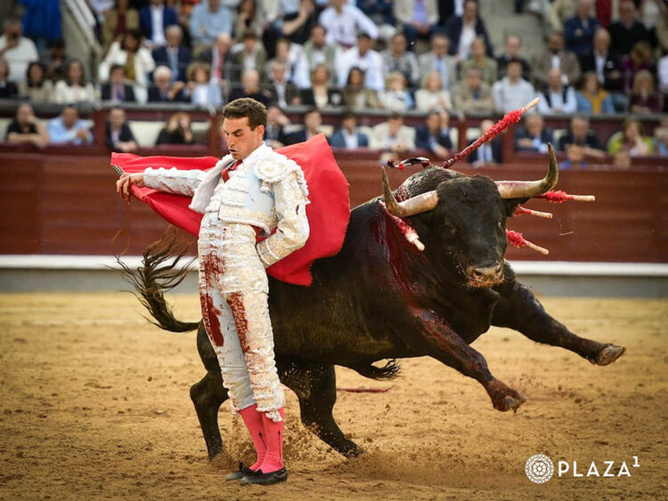 Bernadinas de Fernando Adrián al toro 'Frenoso', de Victoriano del Río. / PLAZA 1
