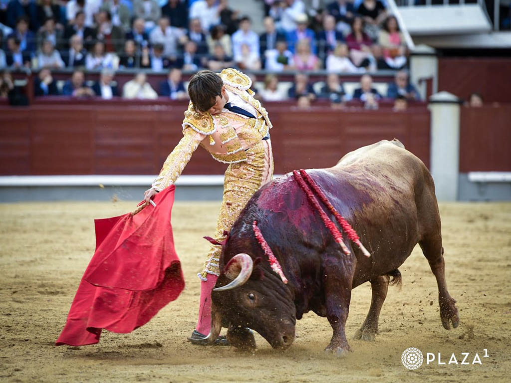 Resurgir desde el olvido 3 Derechazo de Adrián de Torres, al tercer toro de Araúz de Robles. / PLAZA 1