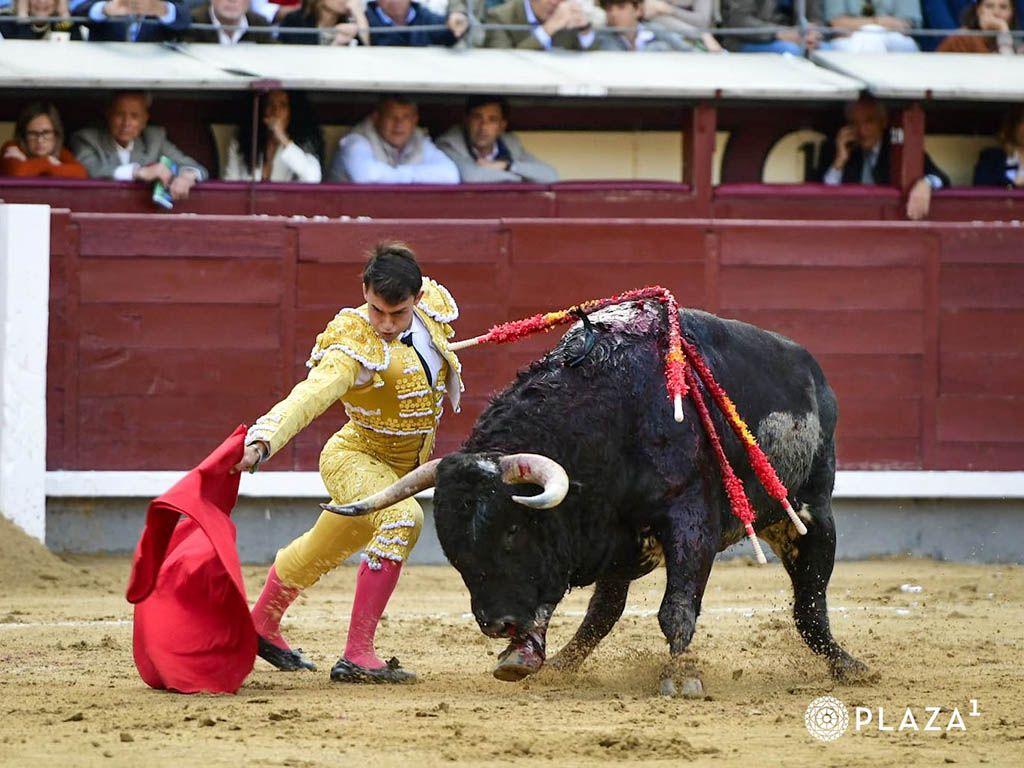 Mansedumbre sin sujección 3 Alejandro Chicharro, con el toro de su confirmación de alternativa. / PLAZA 1