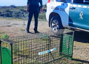 La Guardia Civil sorprende a un hombre portando un arma alimentada en época de veda que vigilaba el estado de una jaula trampa / GUARDIA CIVIL