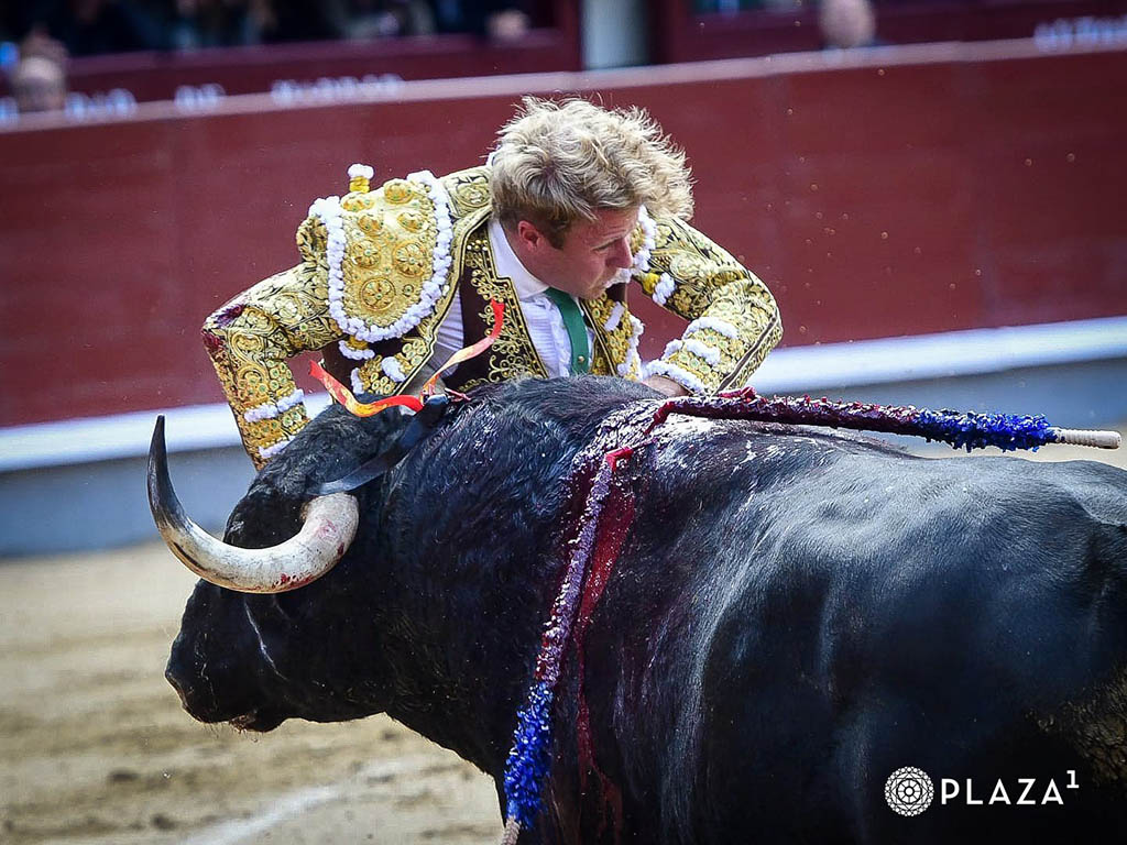 El francés Clemente resultó cogido por el toro de su confirmación. / PLAZA 1