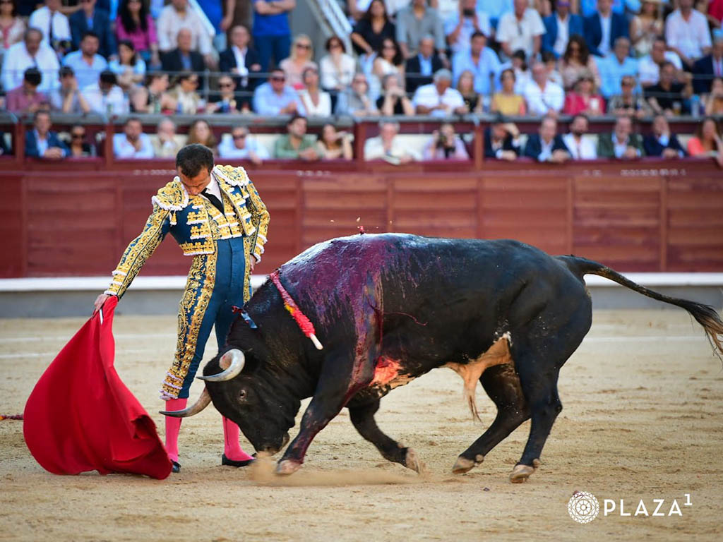 Un ludópata a fondo perdido 4 Damian Castano