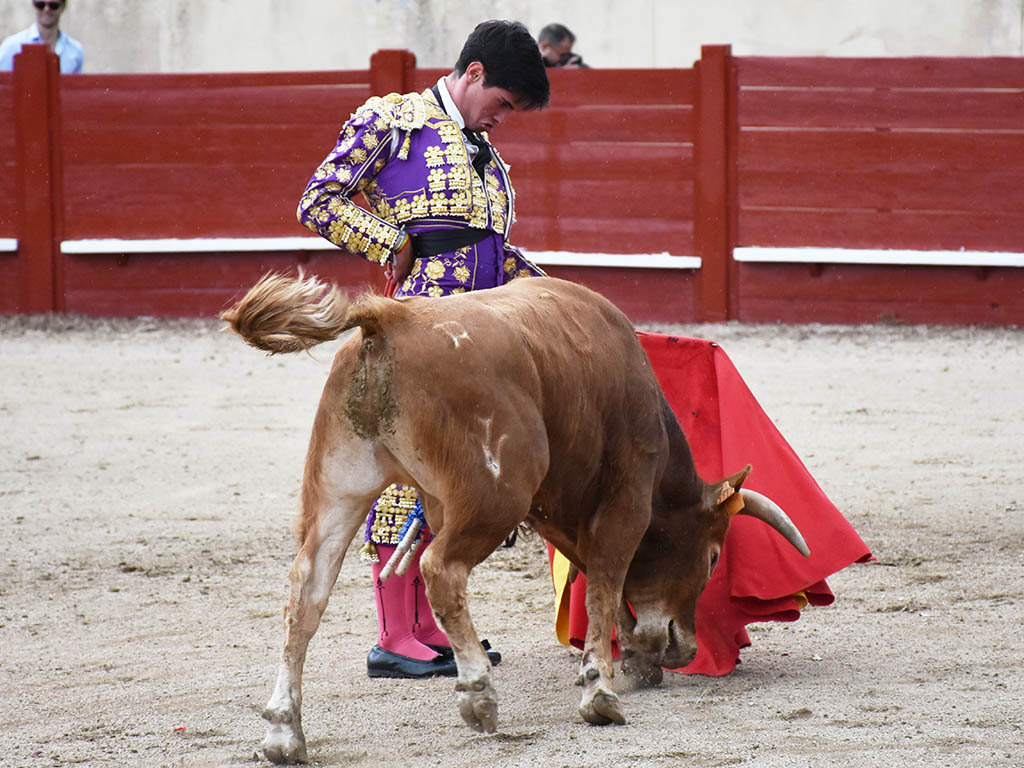 El novillero Daniel Hernández. / A.M.