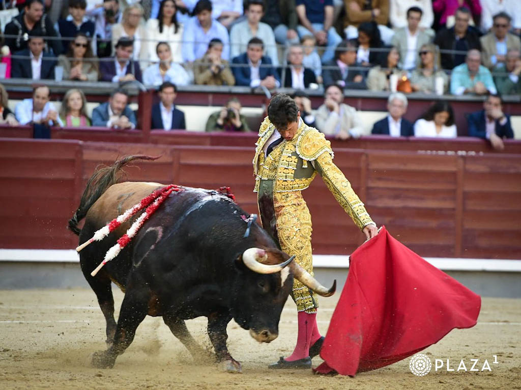 Toreo de mano baja de Daniel Luque. / PLAZA 1