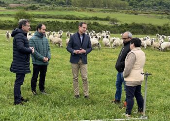 El Director de Política Agraria Comunitaria visita una explotación de ovino ecológico en Barcina de los Montes, Burgos.
