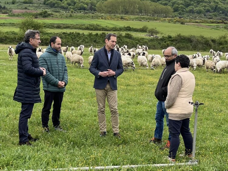 Agricultura resuelve 28, 5 millones en ayudas agroambientales 1 El Director de Política Agraria Comunitaria visita una explotación de ovino ecológico en Barcina de los Montes, Burgos.