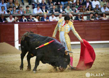 Natural del novillero zaragazono Iker Fernández 'El Mene' a un astado de Conde Mayalde en Las Ventas. / PLAZA 1