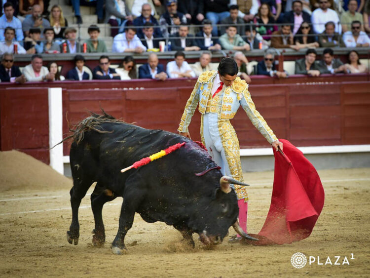 Detalles de proyección 1 Natural del novillero zaragazono Iker Fernández 'El Mene' a un astado de Conde Mayalde en Las Ventas. / PLAZA 1