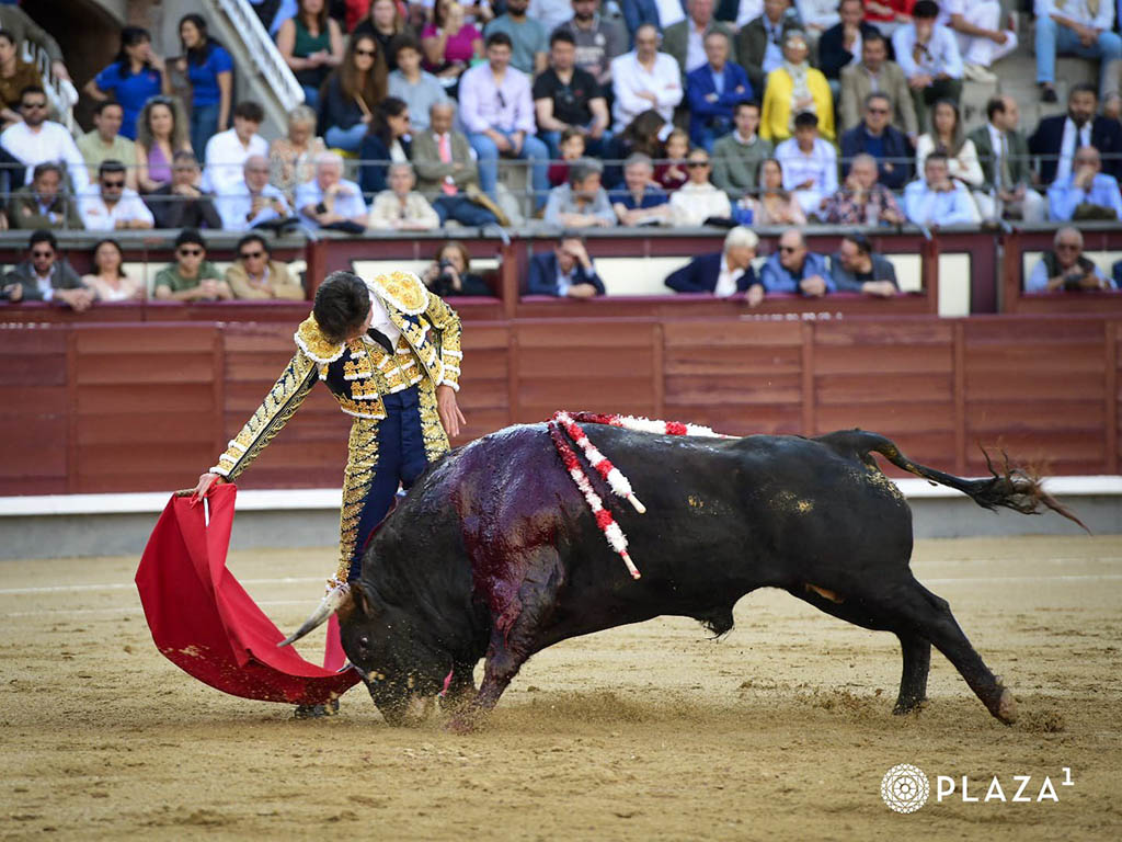 Detalles de proyección 2 Derechazo del riojano Fabio Jiménez a un novillo de Conde Mayalde en Las Ventas. / PLAZA 1