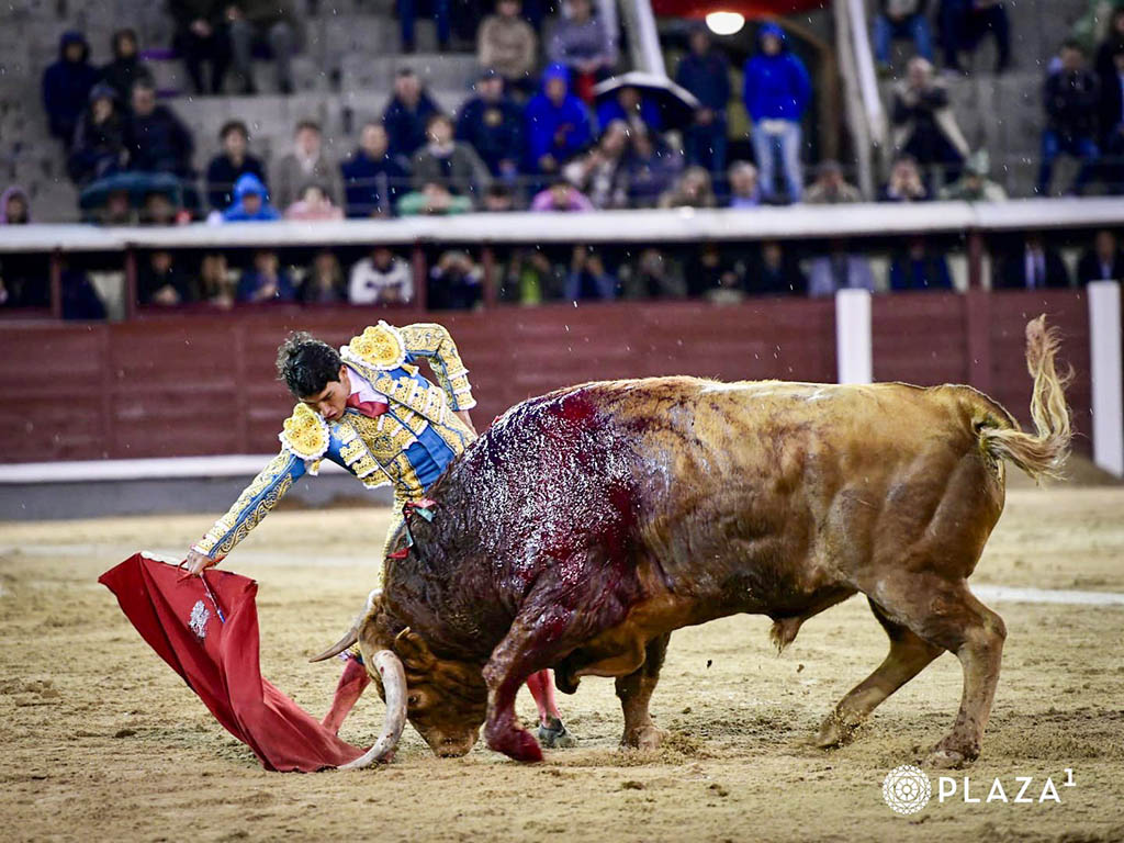 La bravura de Pedraza de Yeltes llega al final 2 Isaac Fonseca, con 'Brigadier' de Pedraza de Yeltes. / PLAZA 1