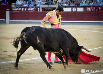 Natural de Fortes, al segundo toro de Araúz de Robles. / PLAZA 1