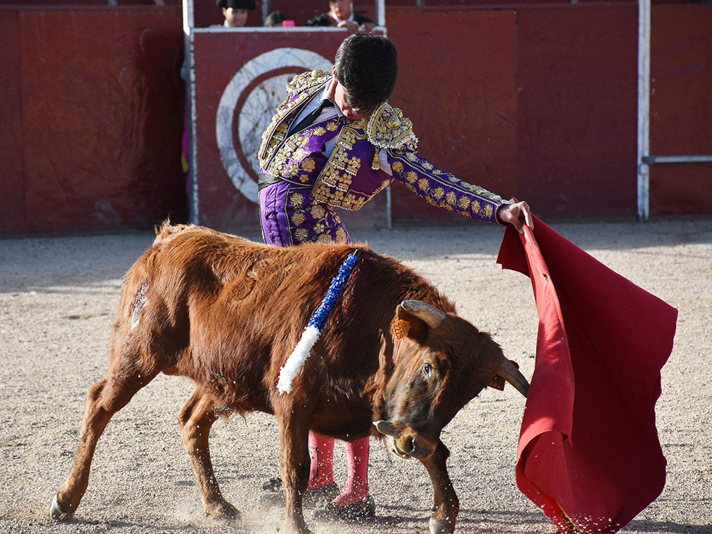 La Lastrilla se vuelca con las promesas del toreo 4 Natural largo del novillero segoviano Daniel Hernández./ A.M.
