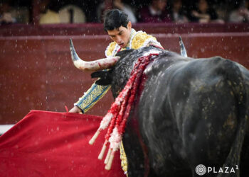 El mexicano Isaac Fonseca, con un toro de Pedraza de Yeltes. / PLAZA 1