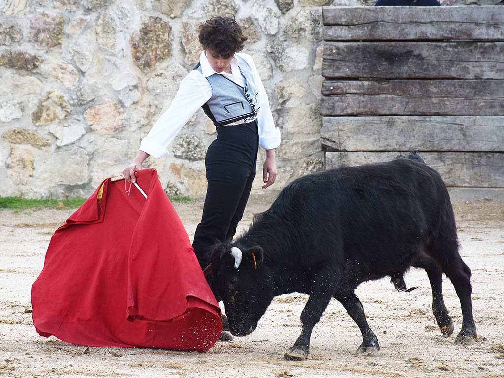 El novillero de Hontanares de Eresma, Jaime Hermosa. / A.M.