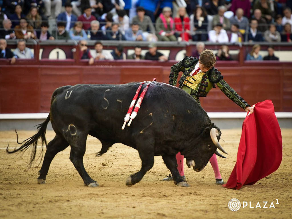 La claridad de ideas y la actitud de Aaron Palacio 3 El novillero Javier Zulueta, con el sobrero de Montealto. / PLAZA 1